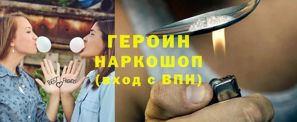 шишки Ельня
