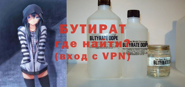 шишки Ельня