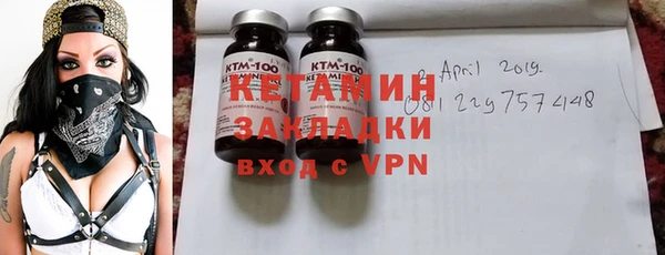 шишки Ельня