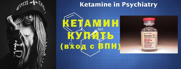шишки Ельня
