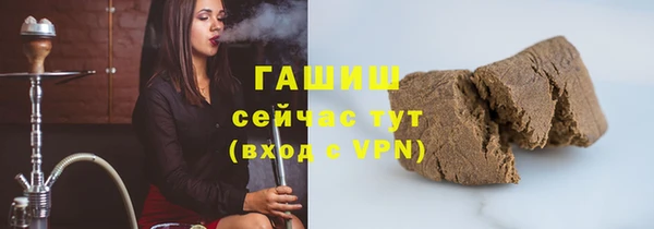 шишки Ельня