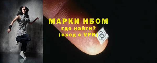 шишки Ельня