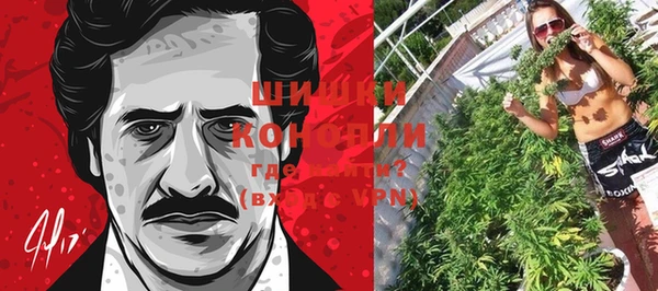 шишки Ельня