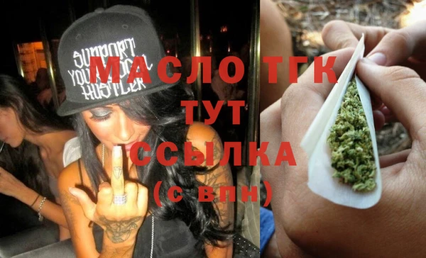 шишки Ельня
