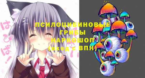 шишки Ельня