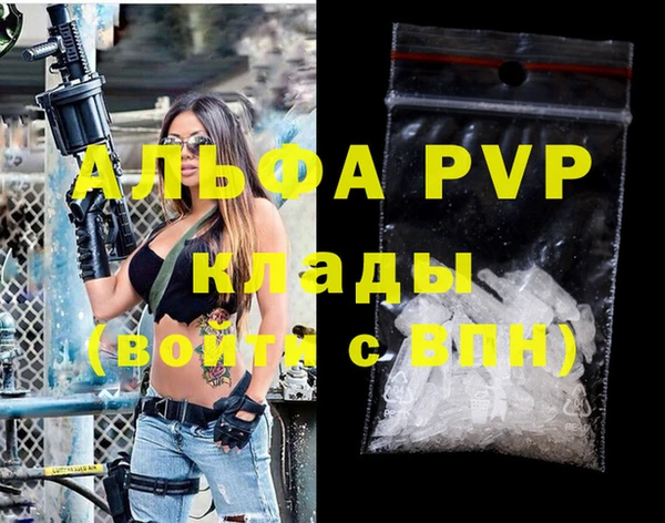 шишки Ельня