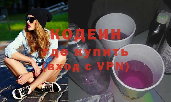 шишки Ельня