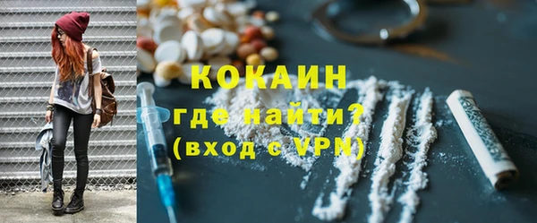 шишки Ельня