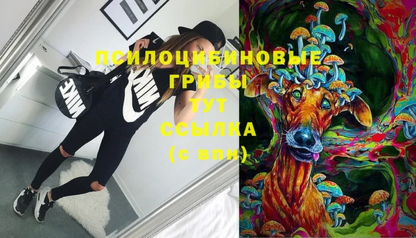 прущий лед Елизово
