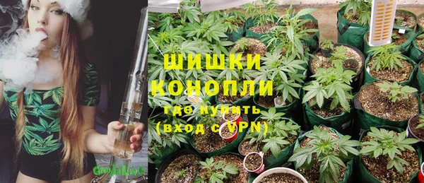 шишки Ельня