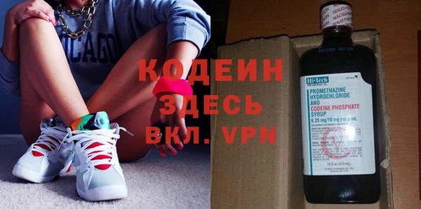 шишки Ельня