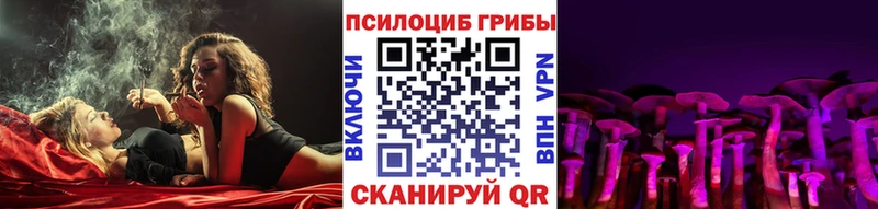 Купить  Губкинский  Псилоцибиновые грибы Magic Shrooms 