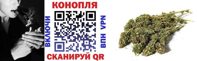 Конопля SATIVA & INDICA  Купить  Губкинский 